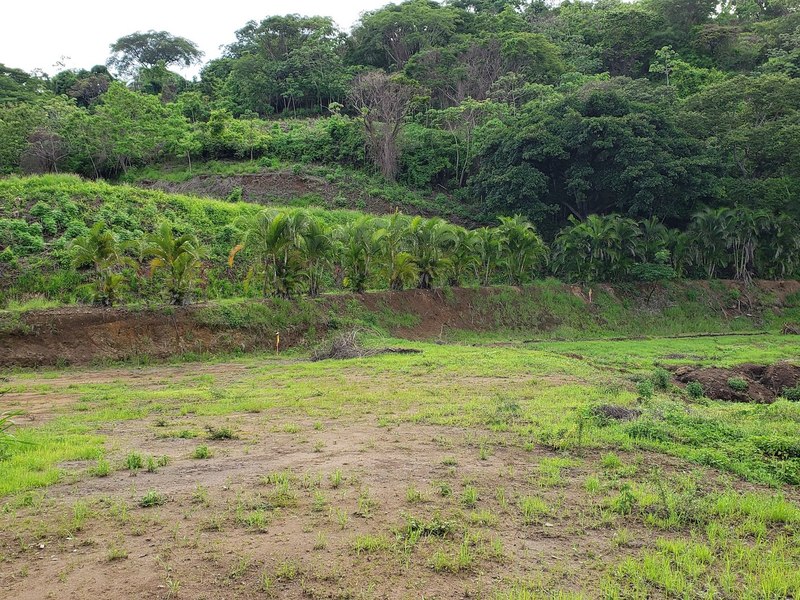 4 Premium Hectares Property in Atenas with Amazing Vistas, Atenas